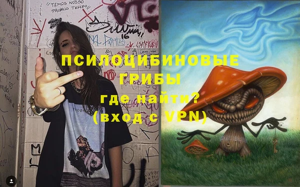 гашиш Ельня
